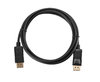 SPEED Display Port Monitor Cable M-M 4K 5M