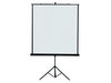 Redleaf 75" Tripod Screen