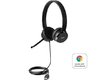 Lenovo 100 Stereo USB Headset