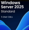 MS Win Server 2025 5 User CAL