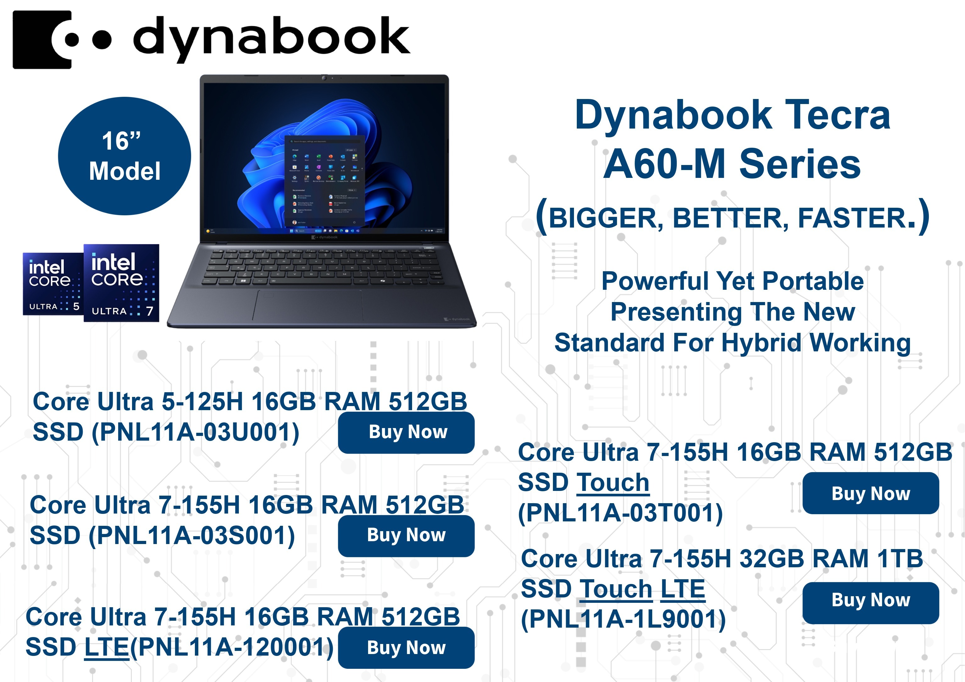 DYNABOOK TECRA A60-M